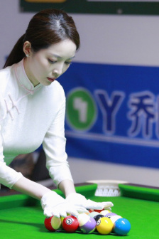 赤红色意大利满天星